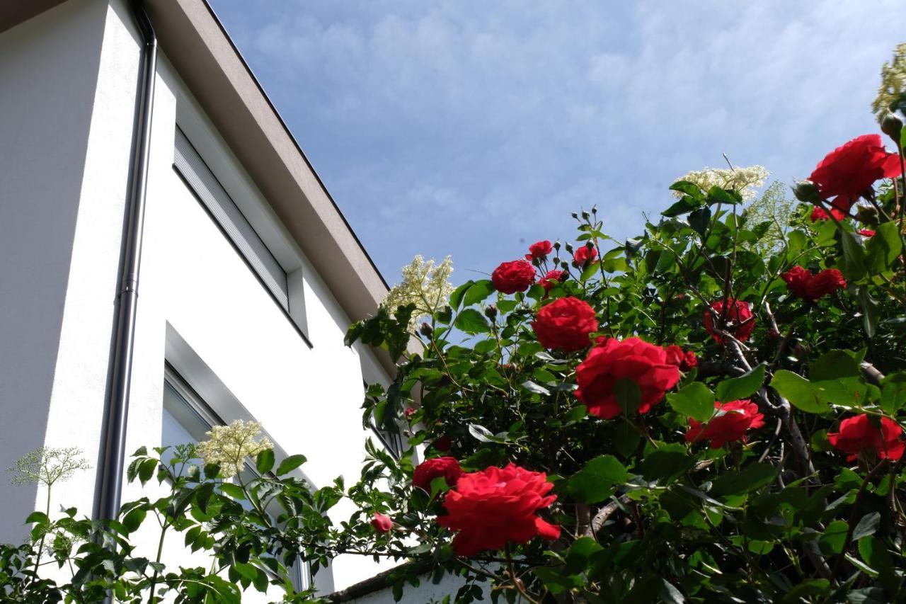 Apartment Le Rose Di Marianne - Ovest Vahrn Екстериор снимка